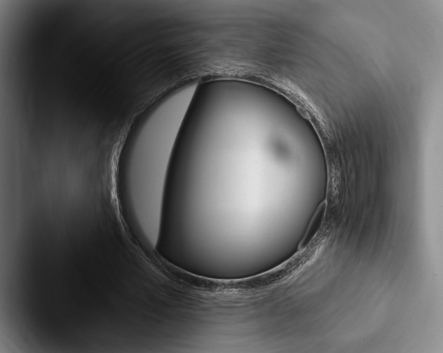 X0000088060581200705110915