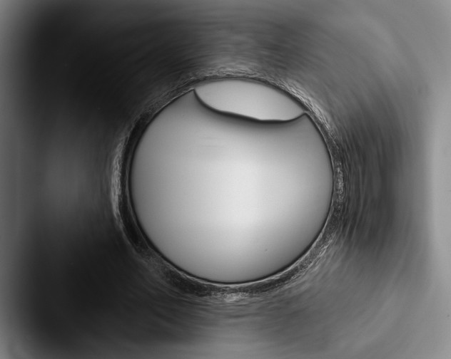 X0000088060582200705110915