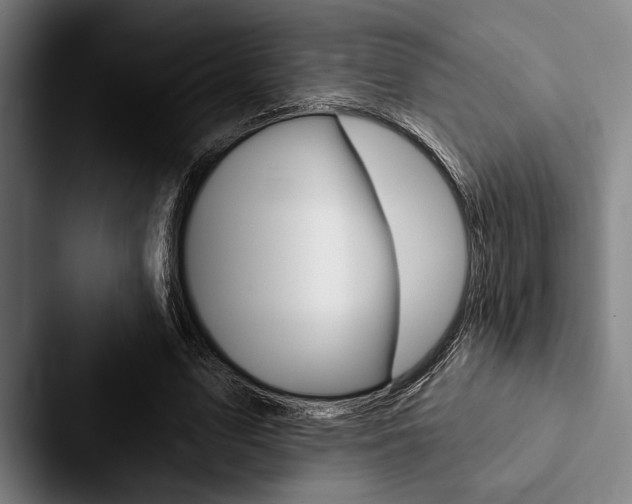 X0000088060583200705110915