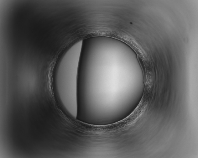 X0000088060585200705110915