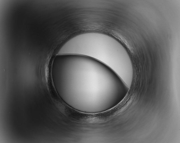 X0000088060589200705110915