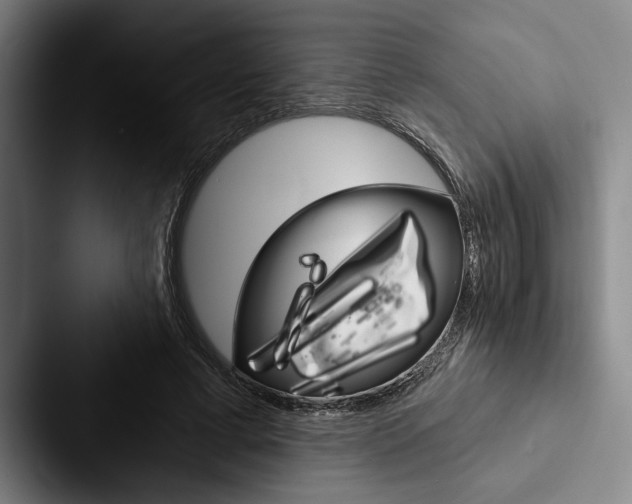 X0000088060593200705110915