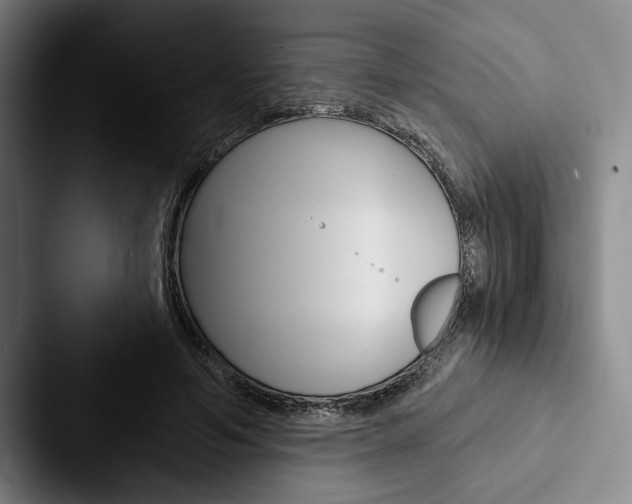X0000088060594200705110915