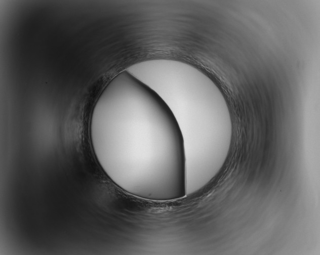 X0000088060595200705110915