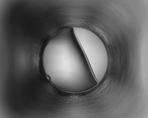 X0000088060596200705110915