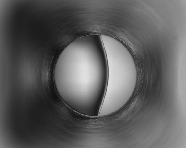 X0000088060597200705110915