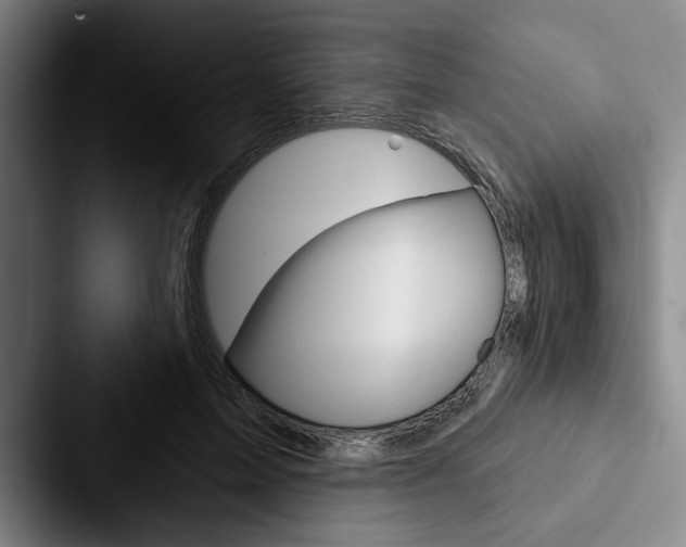 X0000088060599200705110915
