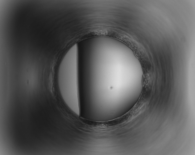 X0000088060600200705110915