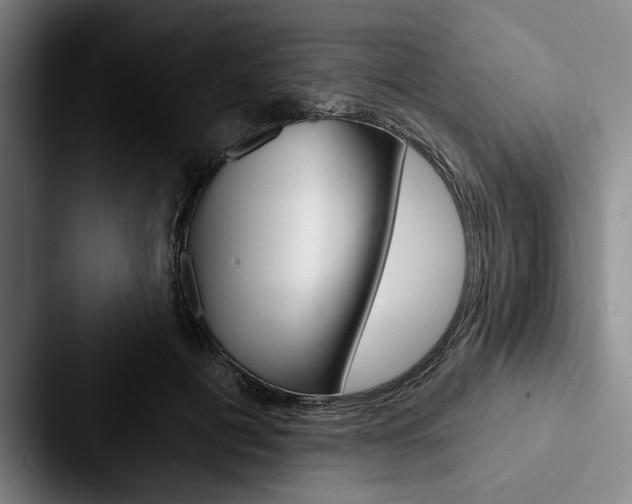 X0000088060601200705110915