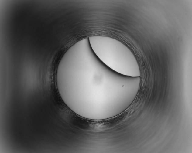 X0000088060602200705110915