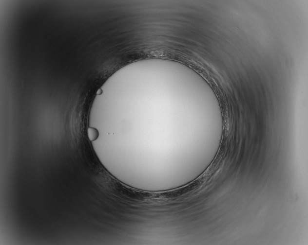 X0000088060603200705110915