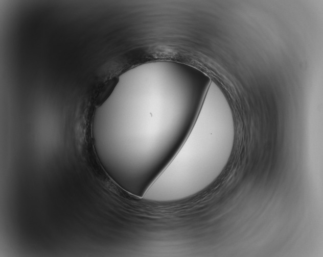X0000088060604200705110915