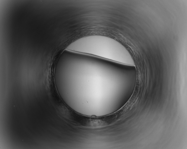 X0000088060605200705110915
