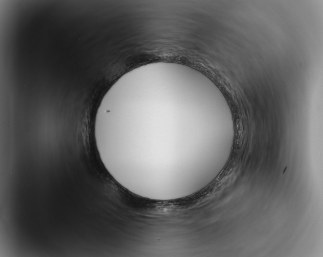X0000088060612200705110915