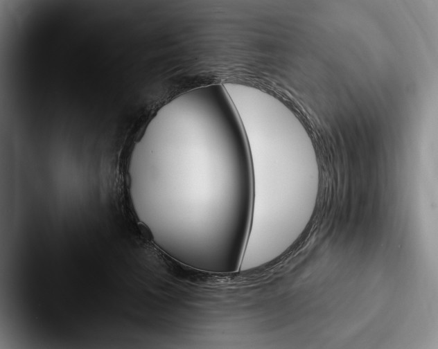 X0000088060613200705110915