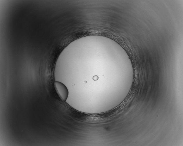 X0000088060614200705110915