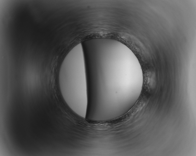 X0000088060615200705110915