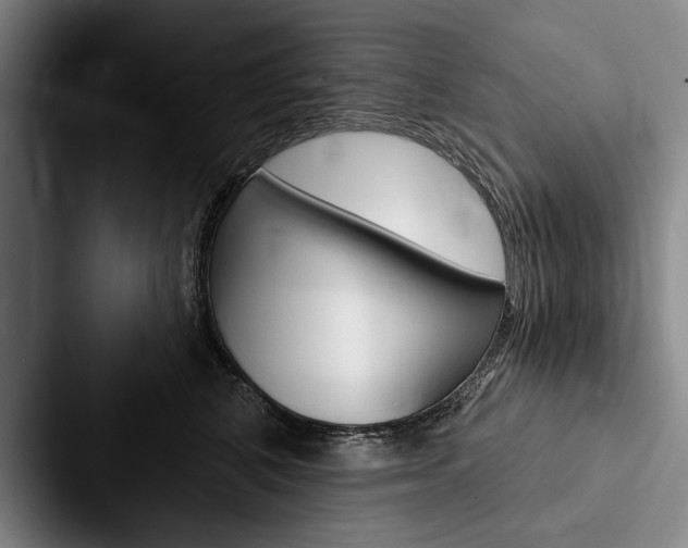 X0000088060616200705110915