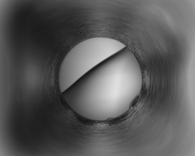 X0000088060619200705110915