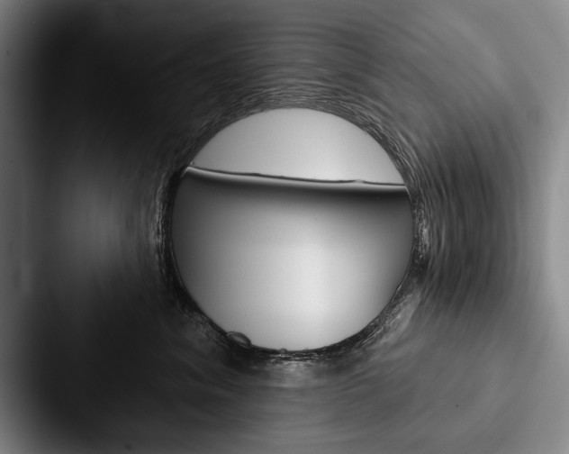 X0000088060620200705110915