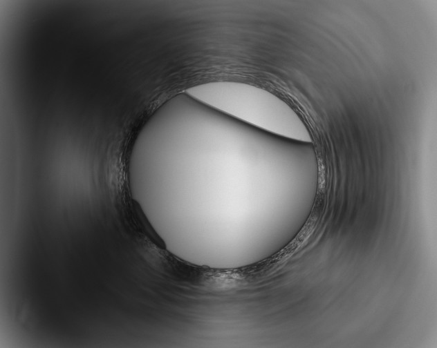 X0000088060621200705110915