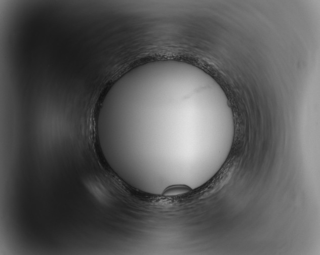 X0000088060624200705110915