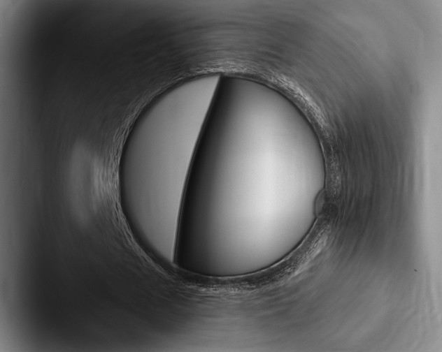 X0000088060625200705110914