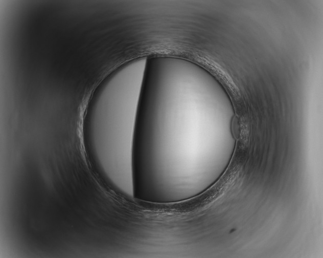 X0000088060626200705110914