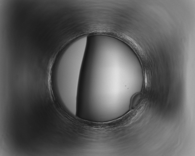 X0000088060627200705110914