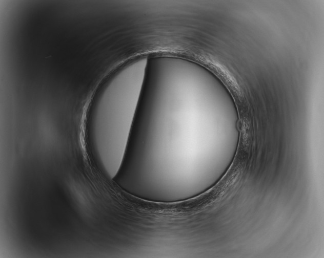 X0000088060628200705110914