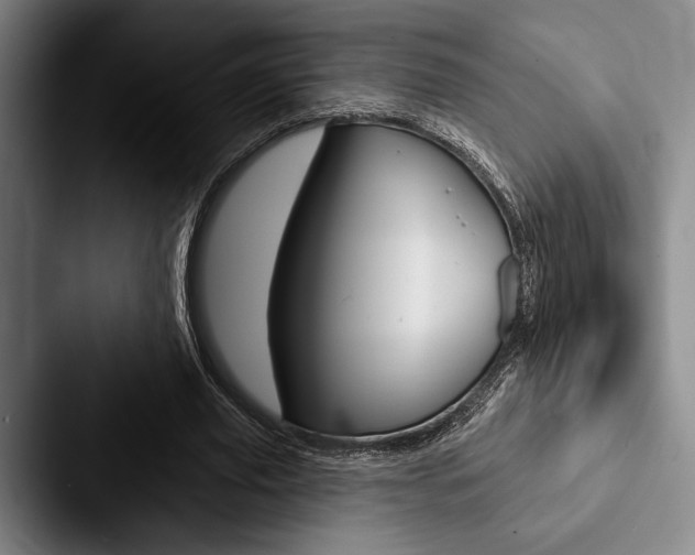X0000088060629200705110914