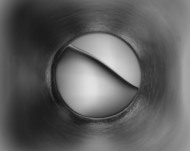 X0000088060630200705110914