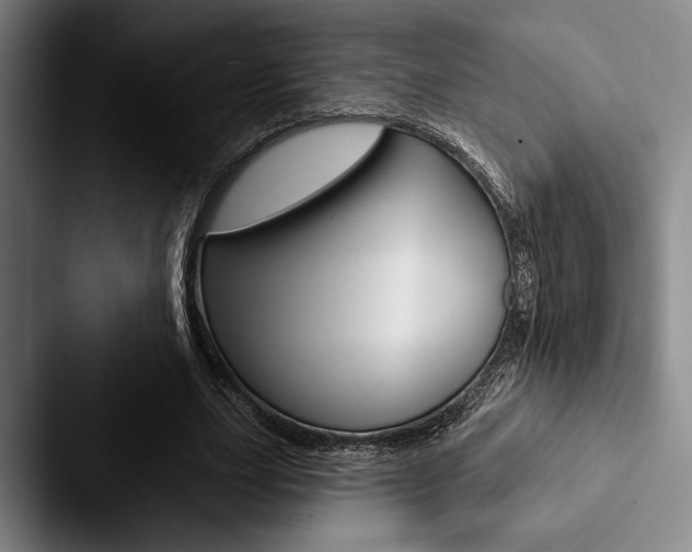 X0000088060631200705110914