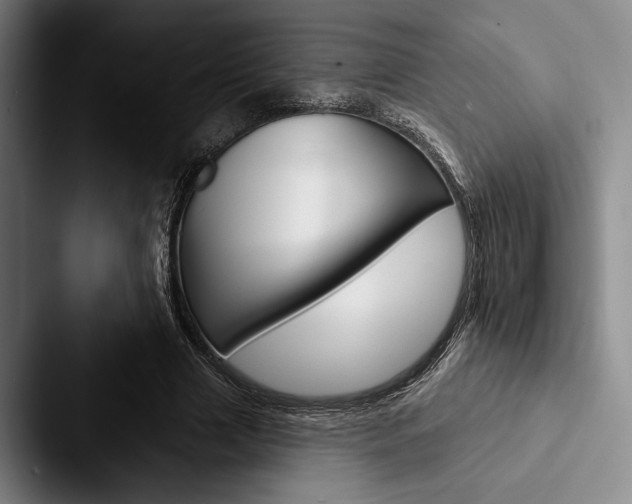 X0000088060633200705110914