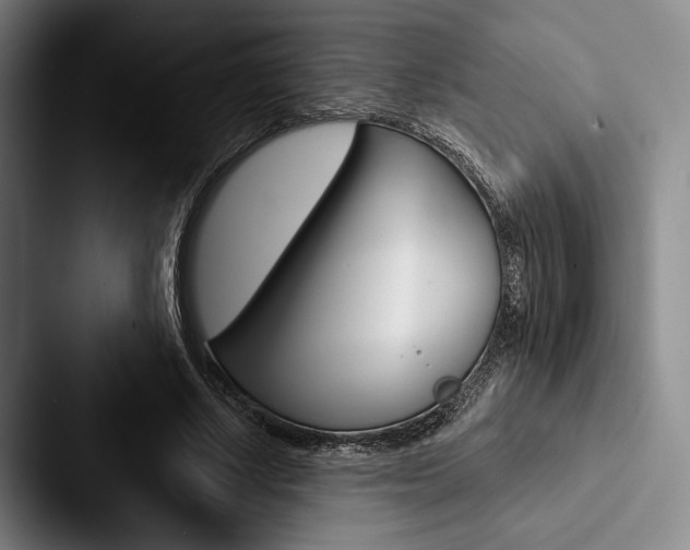 X0000088060634200705110914