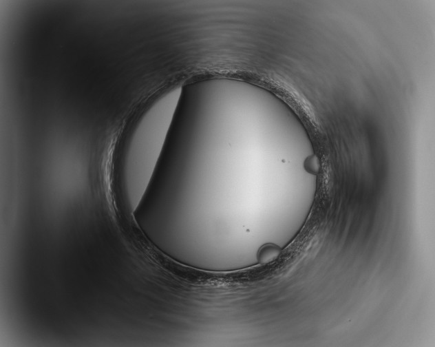 X0000088060635200705110914
