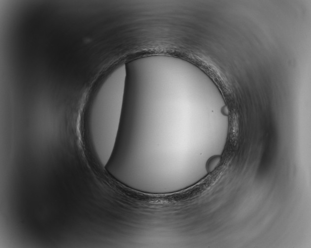 X0000088060636200705110914