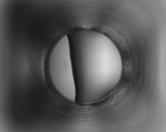 X0000088060639200705110914