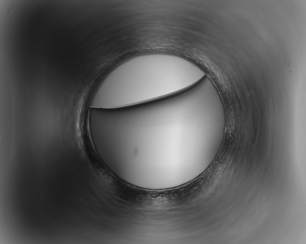 X0000088060640200705110914