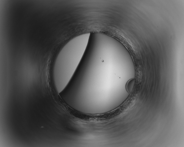 X0000088060641200705110914