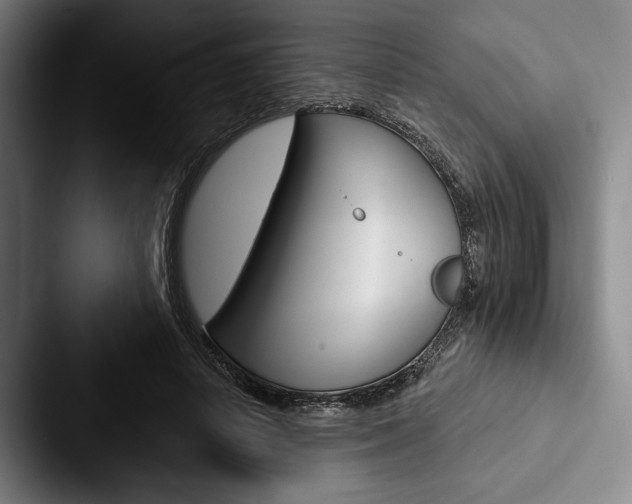 X0000088060642200705110914