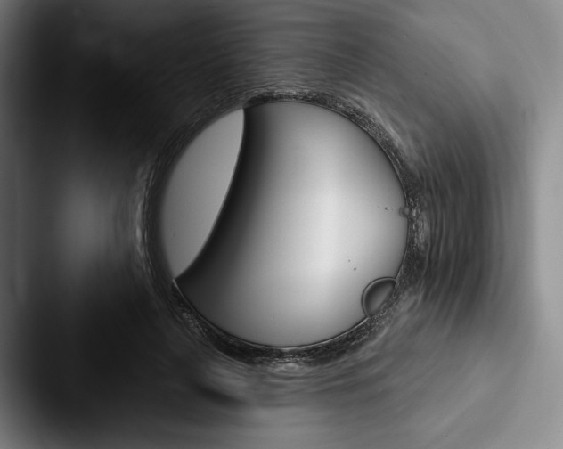 X0000088060643200705110914