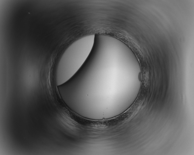 X0000088060644200705110914
