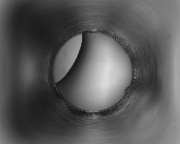 X0000088060646200705110914