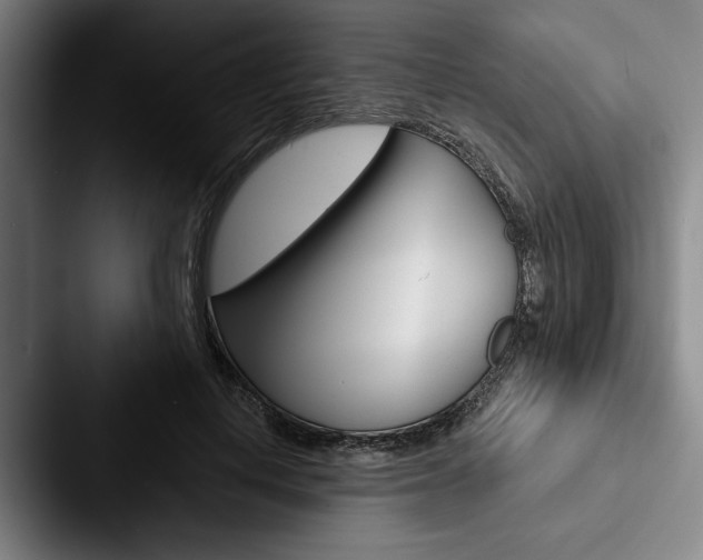 X0000088060648200705110914