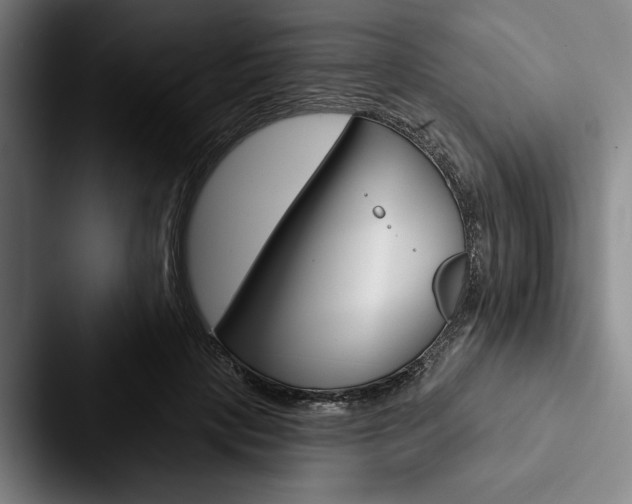 X0000088060649200705110914