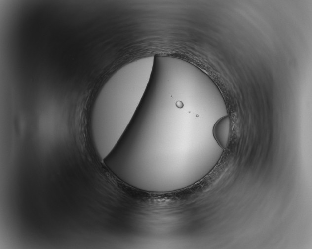 X0000088060650200705110914