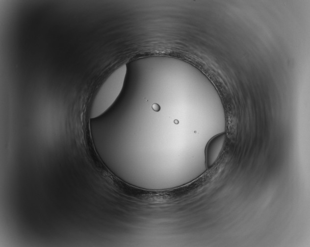X0000088060652200705110914