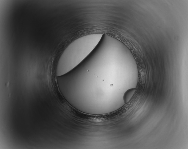 X0000088060654200705110914