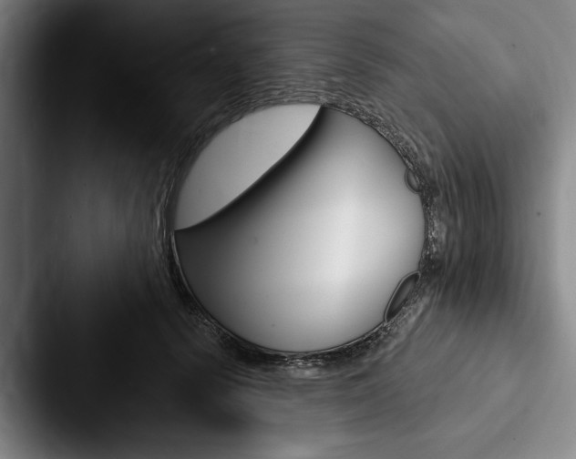 X0000088060656200705110914